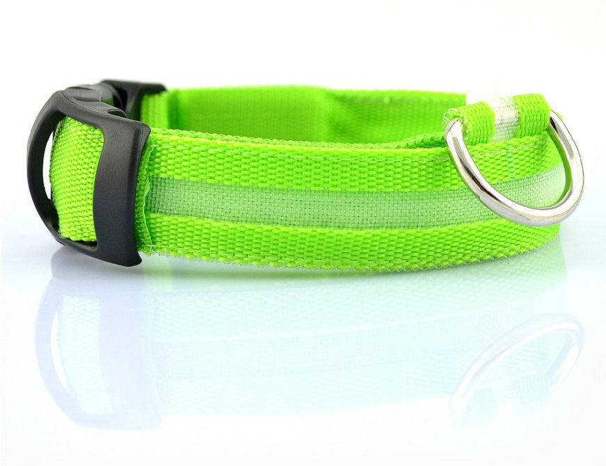 Nylon LED Pet Luminous Leash Night Safety