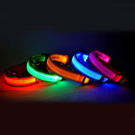 Nylon LED Pet Luminous Leash Night Safety