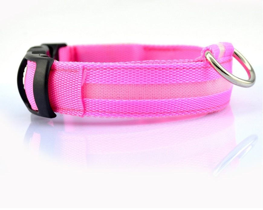 Nylon LED Pet Luminous Leash Night Safety