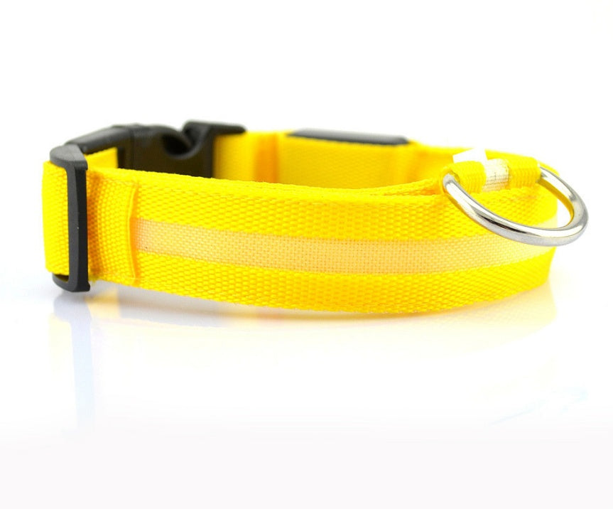 Nylon LED Pet Luminous Leash Night Safety