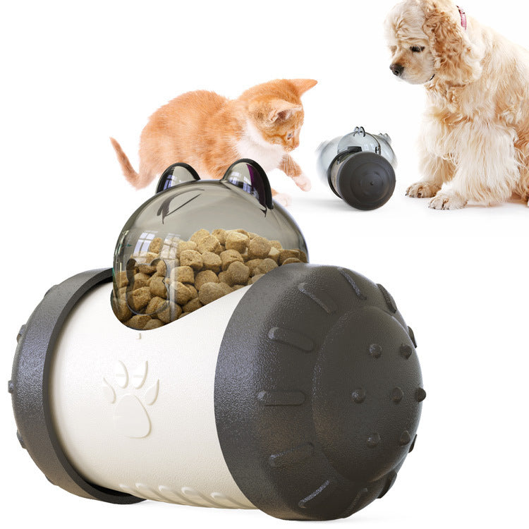 Interactive and Educational Slow Food Ball for Pets