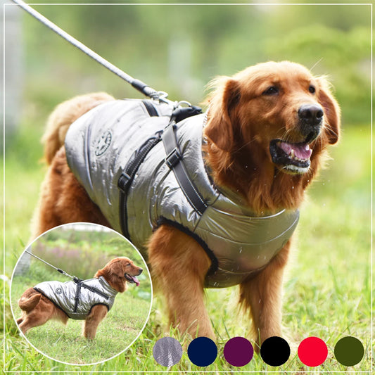 Incredibly Comfortable Dog Jacket with Harness